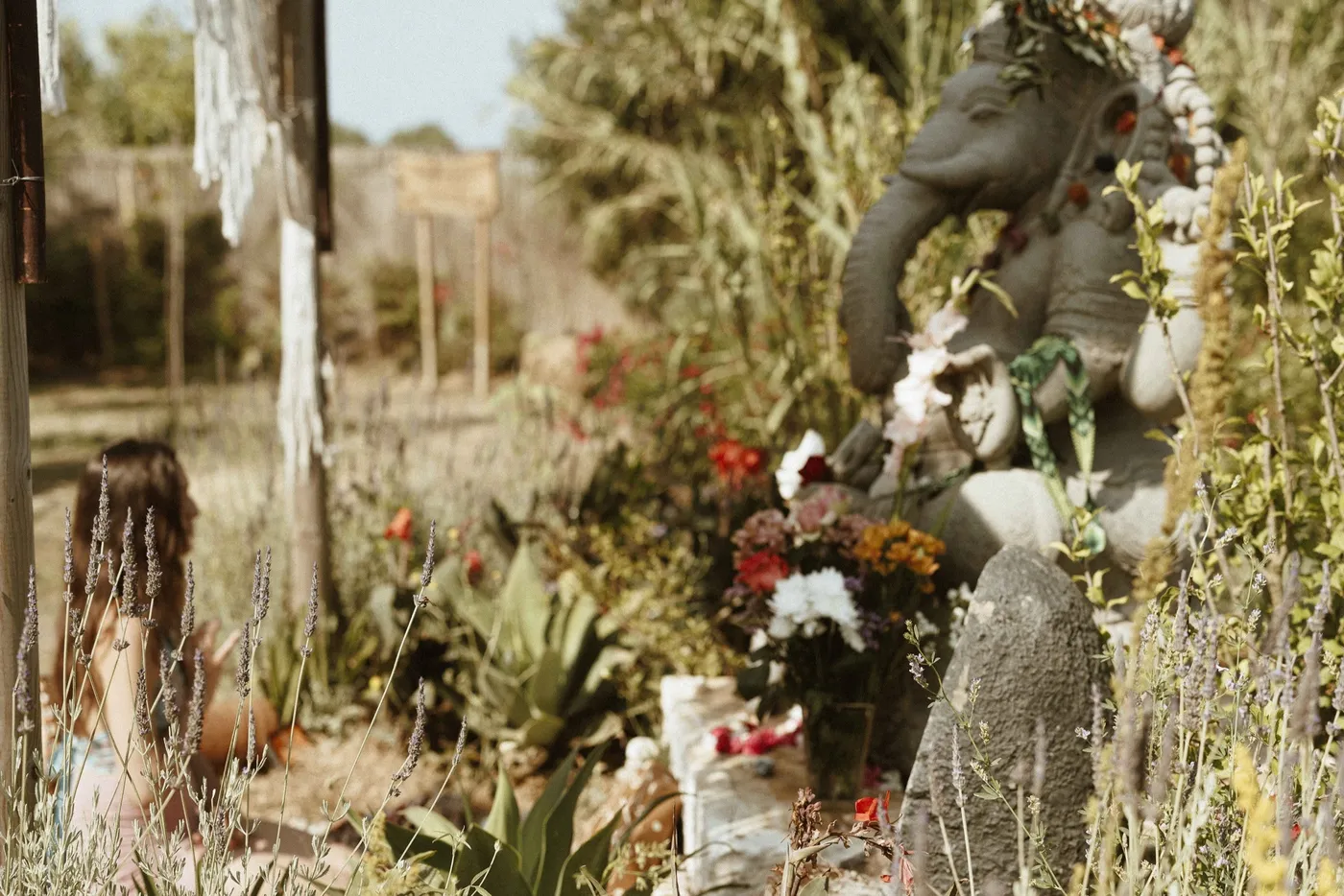 Festival gathering at Colibri Farm — Arillas, Corfu