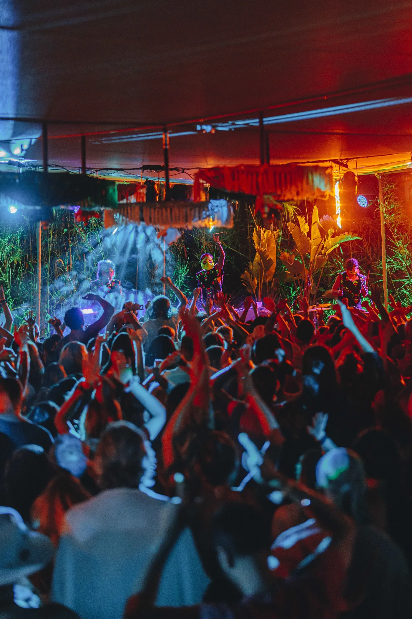 Magic realms at Colibri Spirit Festival